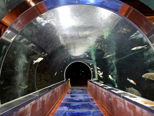 水上温泉で必ず行きたい ガイド編集部おすすめの文化施設スポット まっぷるトラベルガイド