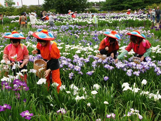 館林で必ず行きたい ガイド編集部おすすめのその他花の名所スポット まっぷるトラベルガイド 館林で必ず行きたい ガイド編集部おすすめのその他花の名所スポット まっぷるトラベルガイド