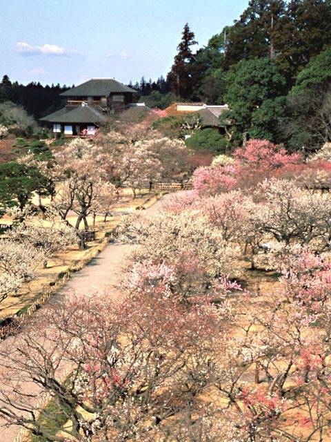 水戸 大洗 日立観光ならここ 水戸 大洗 日立でおすすめの観光 旅行スポット 21版 まっぷるトラベルガイド