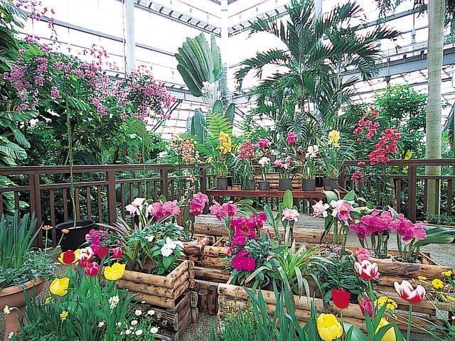 茨城県植物園の営業時間 場所 地図等の情報 まっぷるトラベルガイド