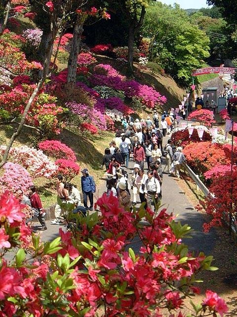 北関東のおすすめのイベントスポット