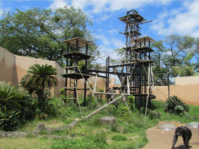 北関東で必ず行きたい ガイド編集部おすすめの動物園スポット まっぷるトラベルガイド