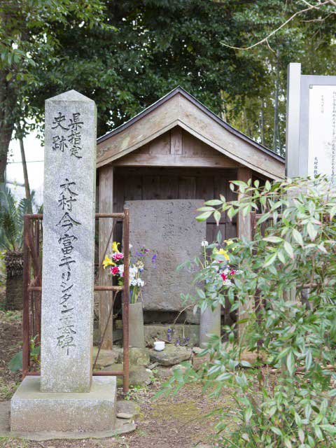 海鮮栄正>