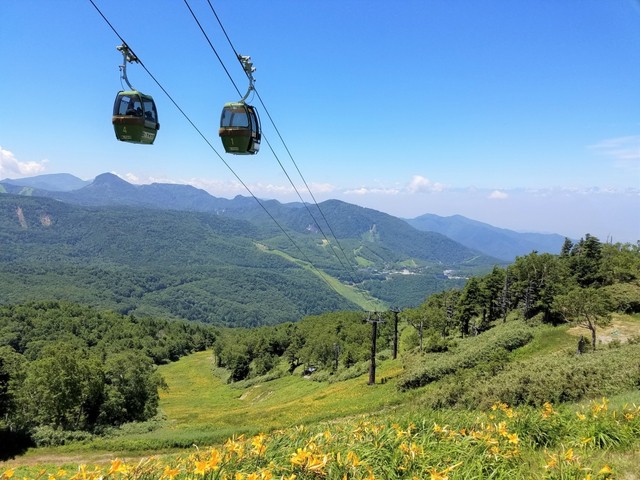 東館山高山植物園 ー トレッキングコースも兼ねた人気の植物園 営業時間 場所 地図等の情報 まっぷるトラベルガイド
