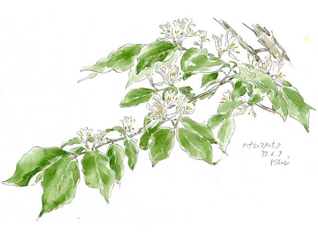 軽井沢で必ず行きたい ガイド編集部おすすめの美術館スポット まっぷるトラベルガイド