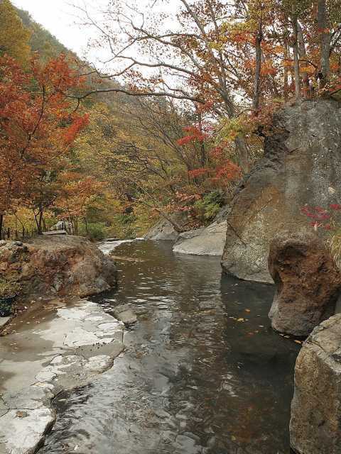 松川渓谷温泉 滝の湯 日帰り入浴 の営業時間 場所 地図等の情報 まっぷるトラベルガイド