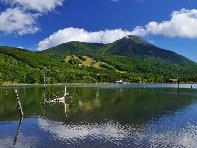 白樺湖 女神湖で必ず行きたい ガイド編集部おすすめの見どころ レジャースポット まっぷるトラベルガイド