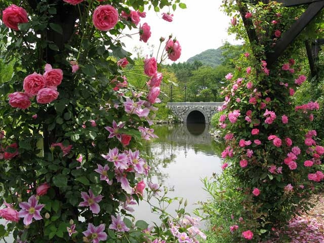 軽井沢 小諸で必ず行きたい ガイド編集部おすすめの植物園スポット まっぷるトラベルガイド