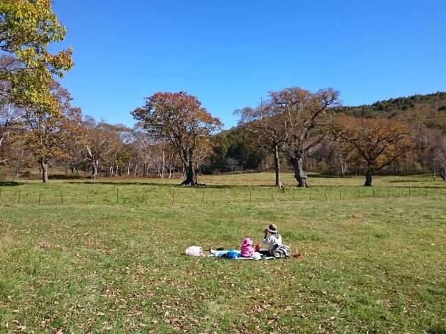 長野 志賀高原 妙高で必ず行きたい ガイド編集部おすすめのオートキャンプ場スポット まっぷるトラベルガイド