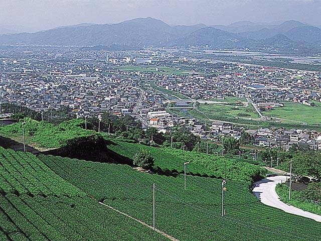 牧之原大茶園の営業時間 場所 地図等の情報 まっぷるトラベルガイド