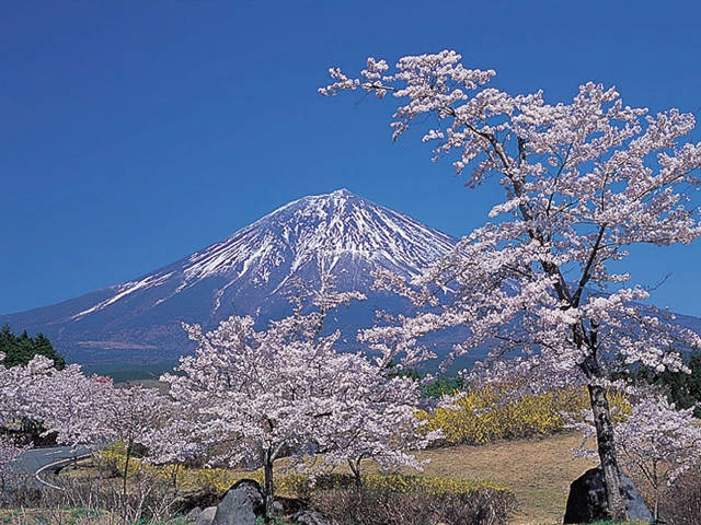富士桜自然墓地公園の営業時間 場所 地図等の情報 まっぷるトラベルガイド