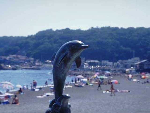 川奈いるか浜公園の営業時間 場所 地図等の情報 まっぷるトラベルガイド