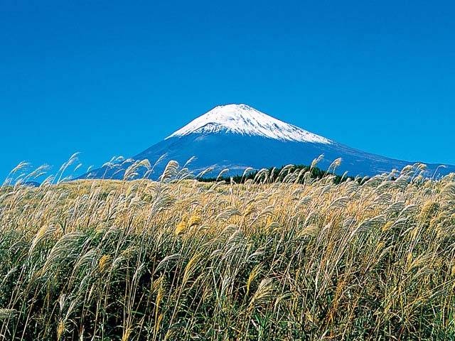 ススキと富士山の営業時間 場所 地図等の情報 まっぷるトラベルガイド