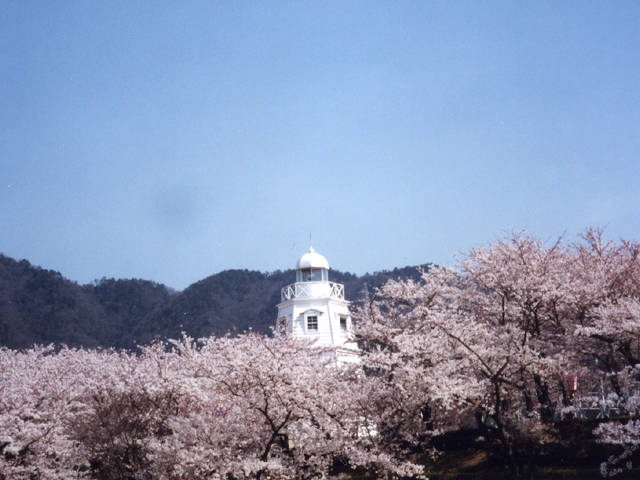 山陰で必ず行きたい ガイド編集部おすすめの桜の名所スポット まっぷるトラベルガイド