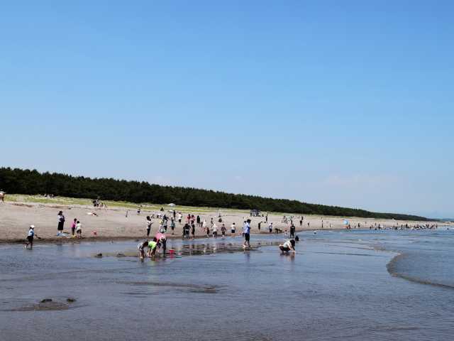 大崎海岸 潮干狩りの営業時間 場所 地図等の情報 まっぷるトラベルガイド