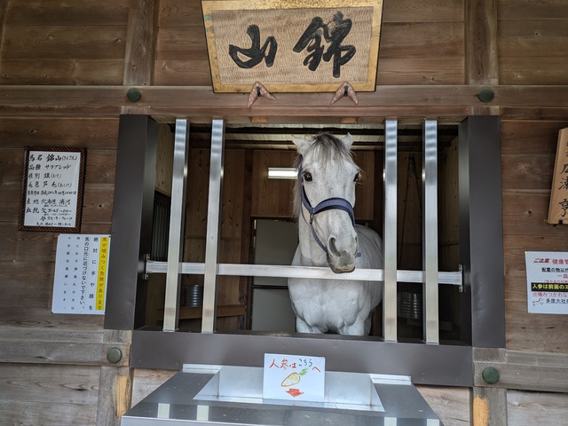 多度大社の画像 4枚目