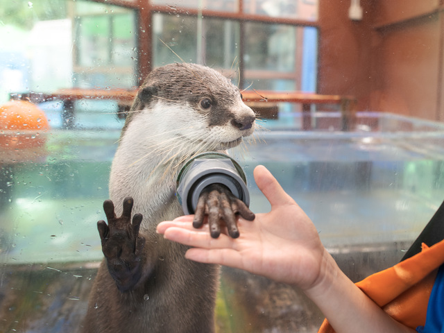 ゼロ距離水族館 伊勢シーパラダイスの画像 2枚目