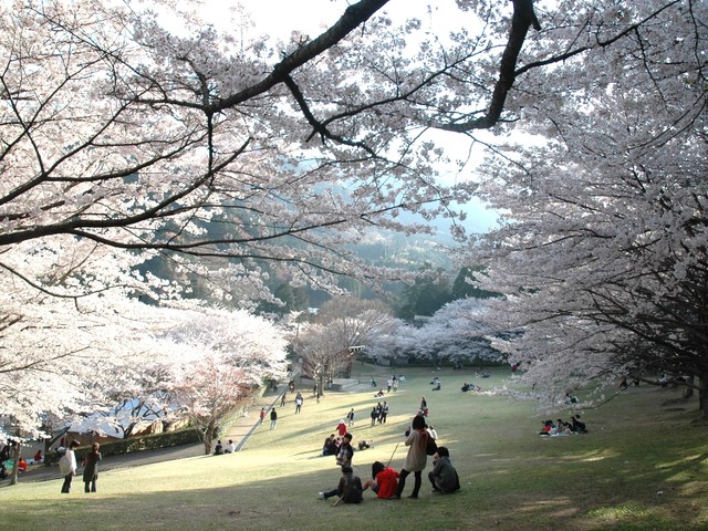 松阪市森林公園の画像 3枚目
