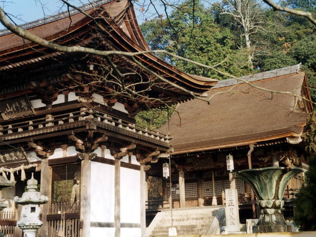 観菩提寺(正月堂)