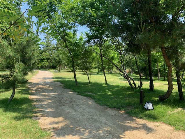 大淀西海岸 ムーンビーチキャンプ場の画像 3枚目