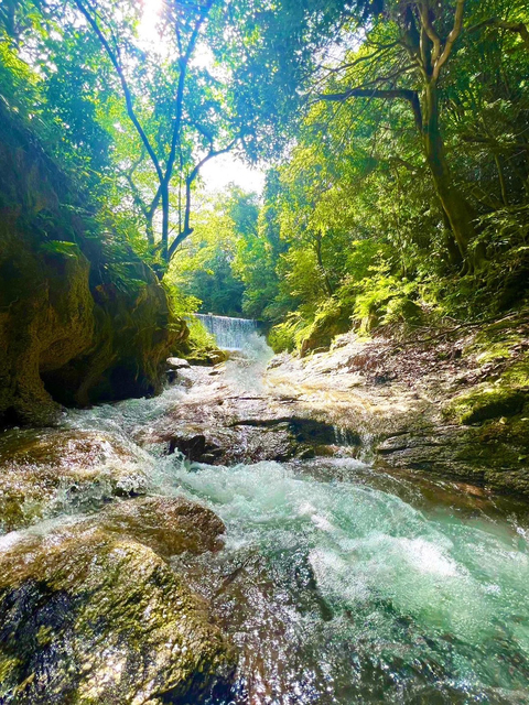 八風キャンプ場の画像 4枚目