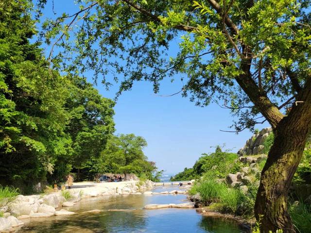 八風キャンプ場の画像 3枚目