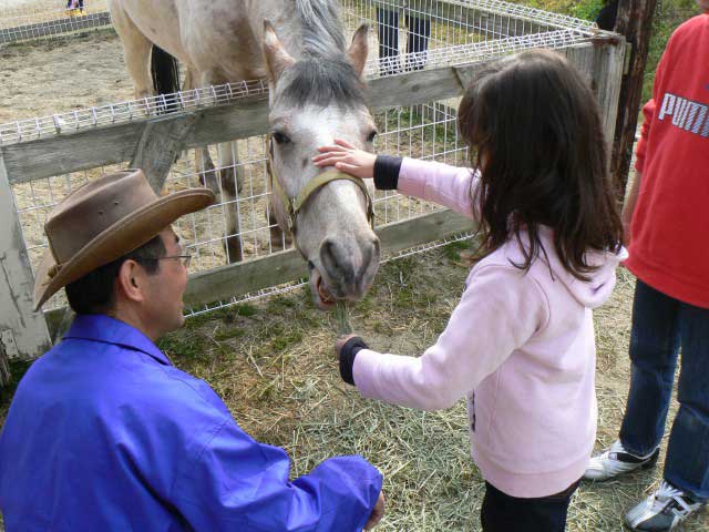 OKオートキャンプ場の画像 3枚目