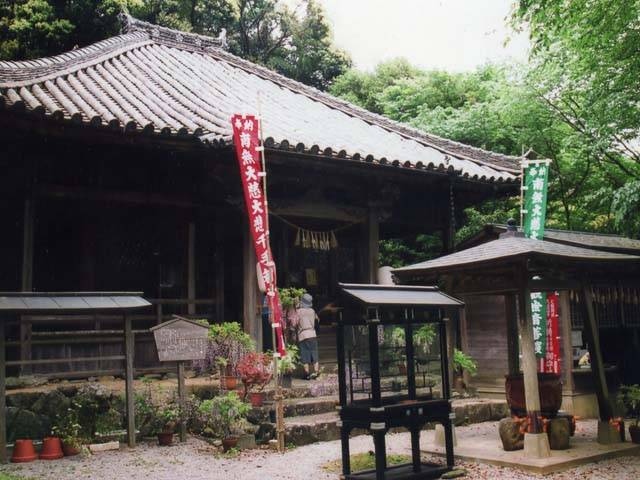 太江寺のフジ