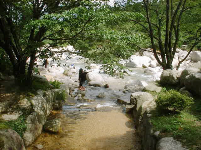 グリーンランドあさけの画像 3枚目