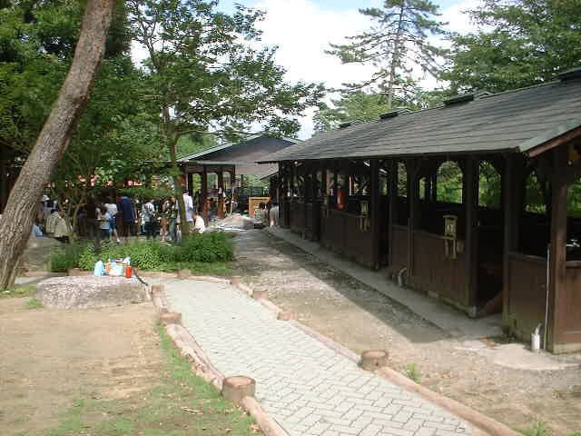 グリーンランドあさけの画像 4枚目