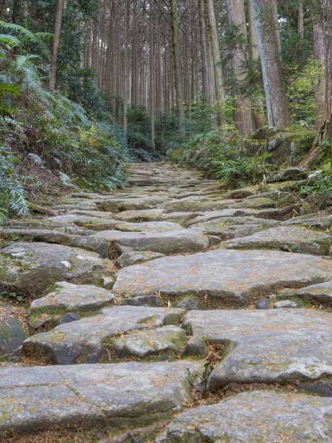 熊野古道伊勢路
