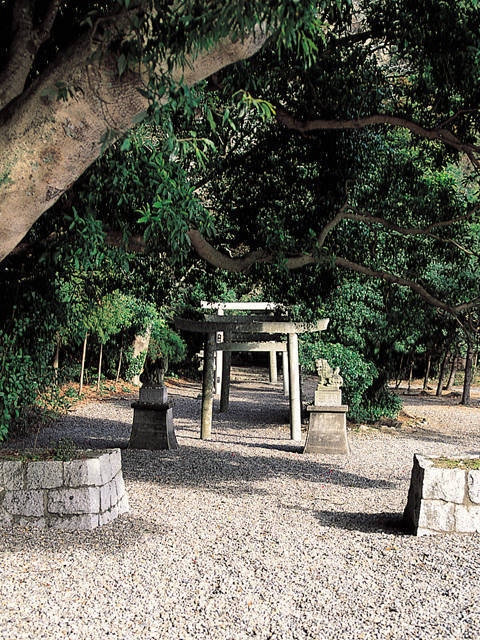 浦神社の画像 1枚目
