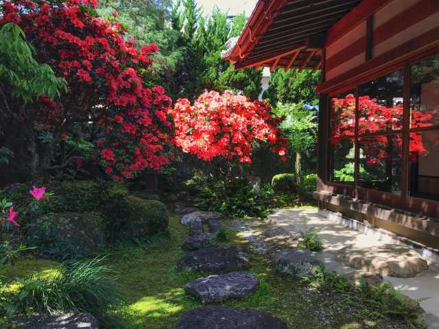 紀南ツアーデザインセンターの画像 3枚目