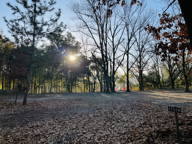 青少年野外活動総合センター「友愛の丘」(キャンプ場)の画像 1枚目