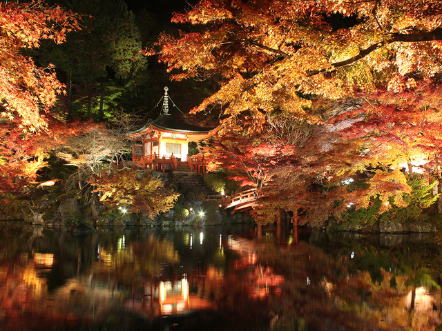 醍醐寺の画像 4枚目