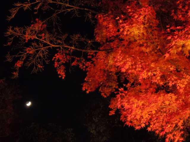 平等院