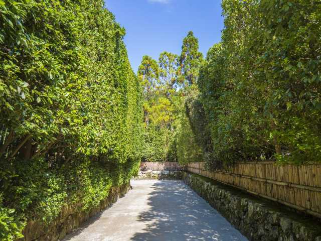 銀閣寺(慈照寺)の画像 4枚目