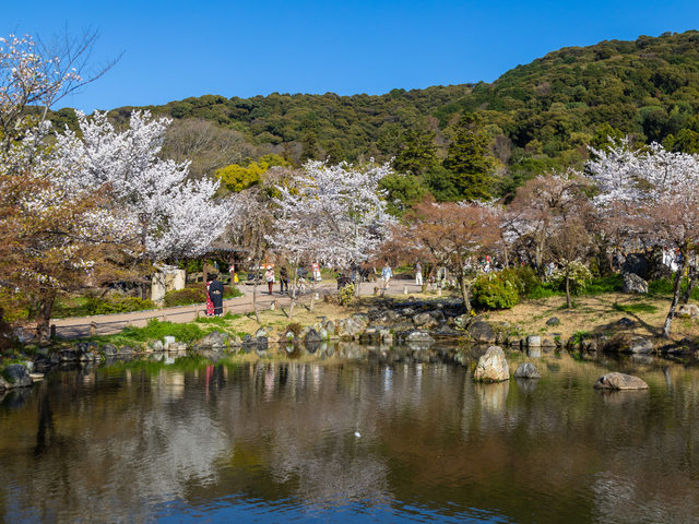 円山公園の画像 4枚目