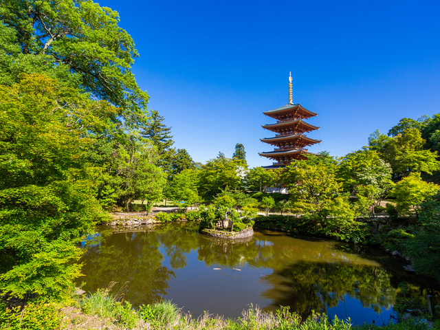成相寺の画像 4枚目