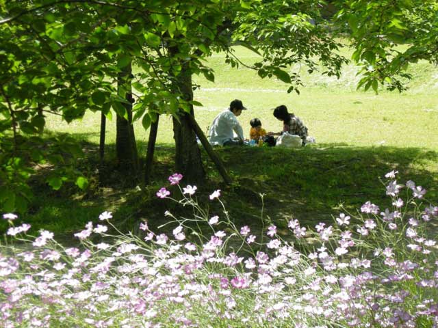 けいはんな記念公園(京都府立関西文化学術研究都市記念公園)の画像 4枚目