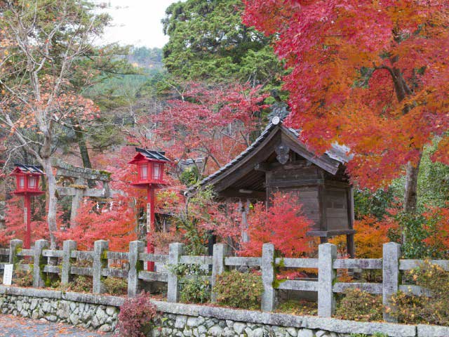 鍬山神社の画像 3枚目