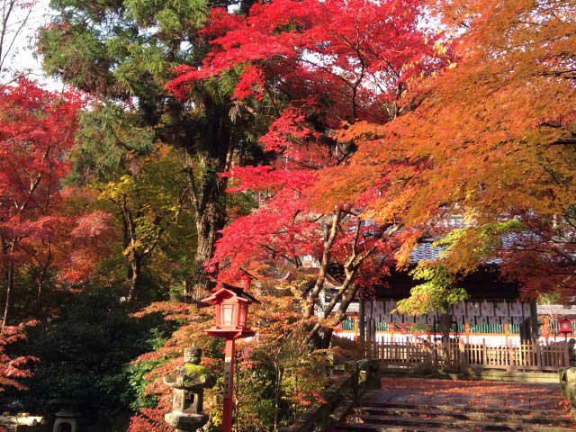 鍬山神社の画像 4枚目