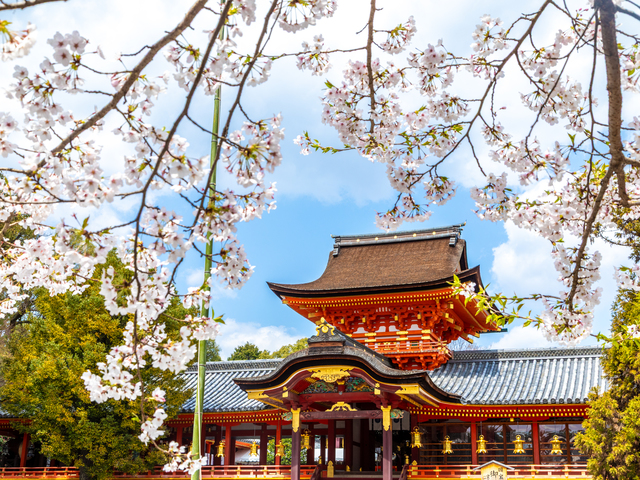 石清水八幡宮の画像 1枚目