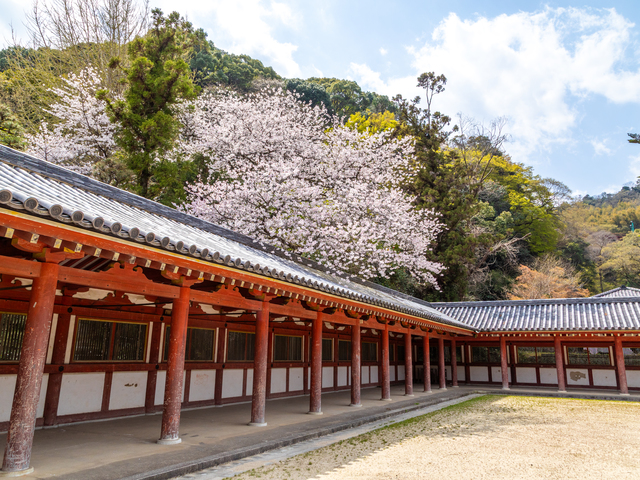 石清水八幡宮の画像 2枚目