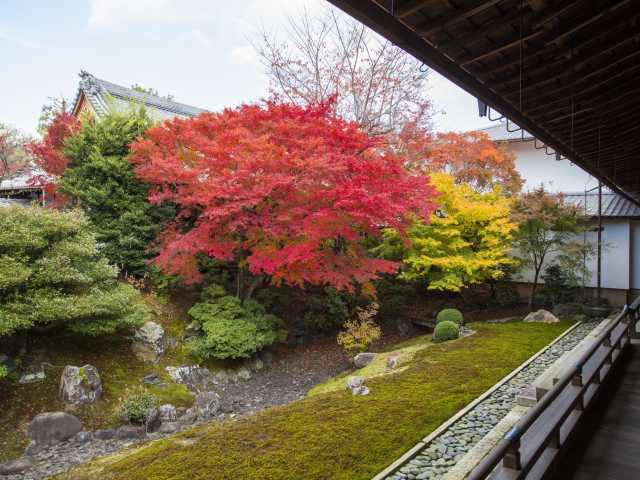 相国寺の画像 2枚目