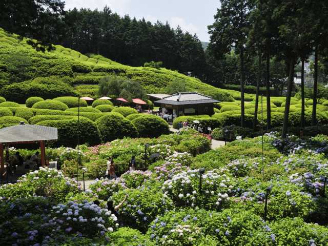三室戸寺の画像 4枚目