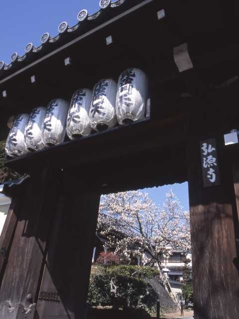 弘源寺の画像 3枚目