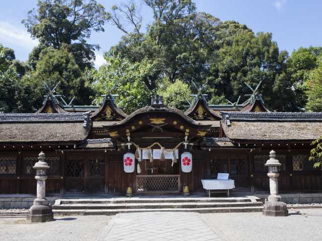 平野神社の画像 1枚目
