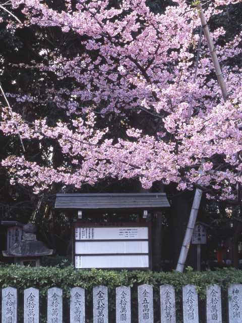 車折神社の画像 4枚目