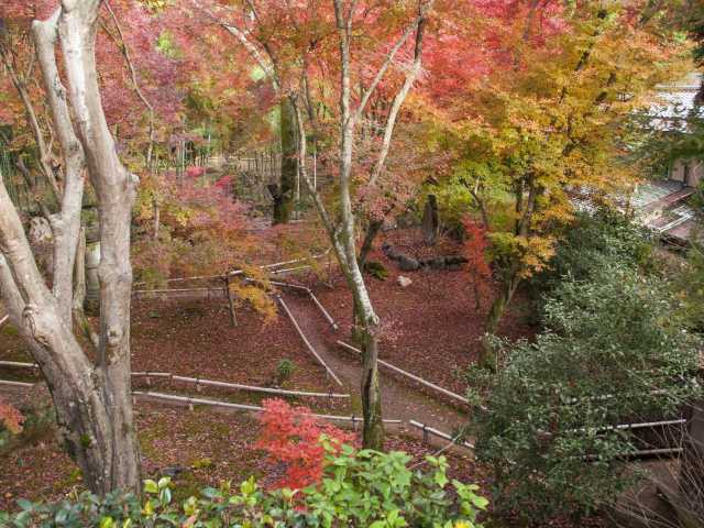 直指庵の画像 3枚目